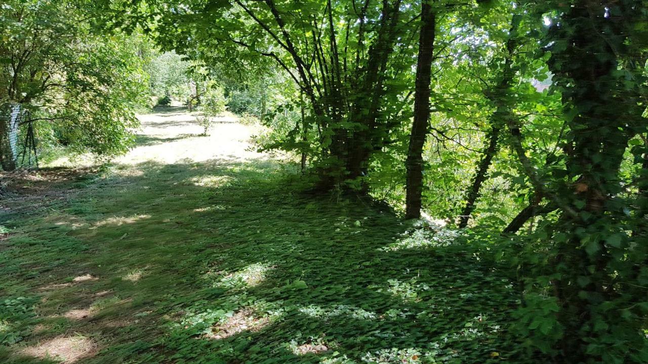 Gite La Providence Saint-Sernin-du-Plain Kültér fotó